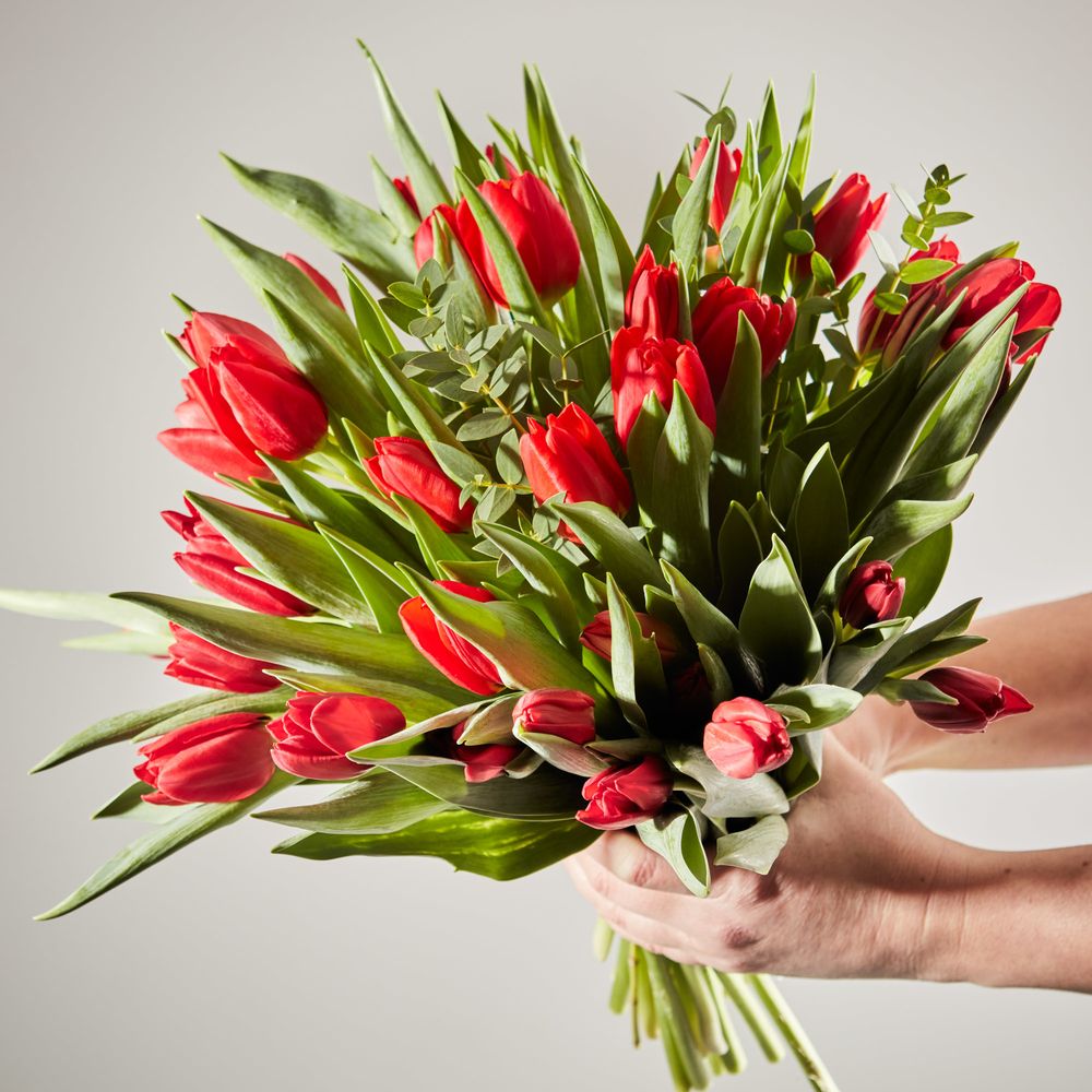 A bouquet of vibrant red tulips in a clean glass vase