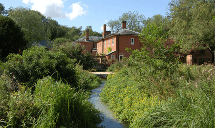 Photograph of an old red brick mill building with a small brook running away from it towards the camera. The building, and the brook, are surrounded by wild growing flowers, shrubs and plants.