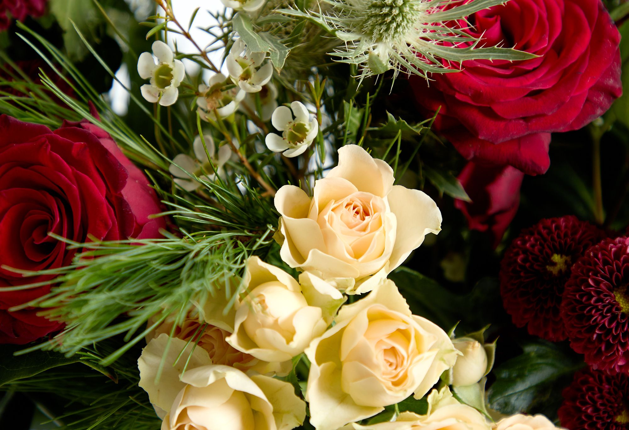 Desktop_Silver Bells 3.jpg