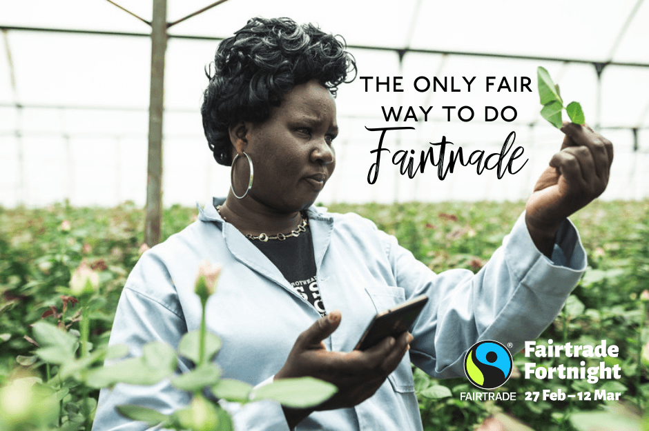 Photograph of a Kenyan woman wearing a pale blue lab coat over her everyday clothes. In her hands she holds the leaves from a rose plant and a mobile phone. She is inspecting the leaves at a Fairtrade Rose Farm in Kenya.