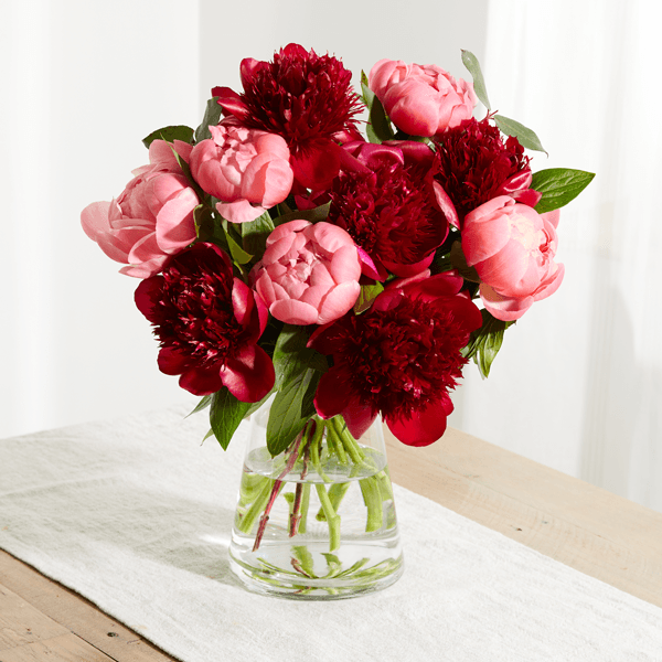 Send a Peony bouquet | Ethical Peonies | Arena Flowers