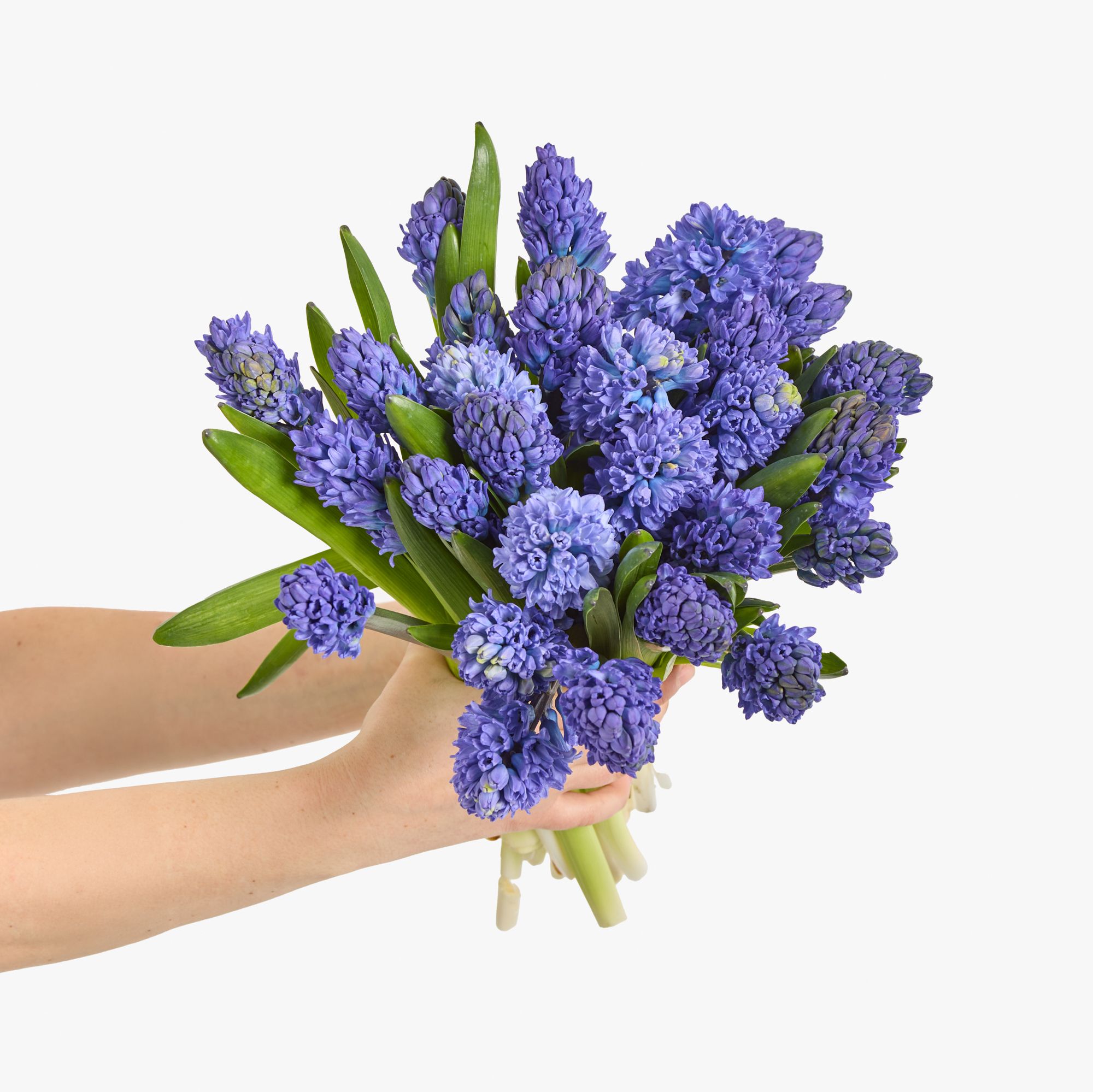 Ethical Flower Subscription in the UK | Free Delivery