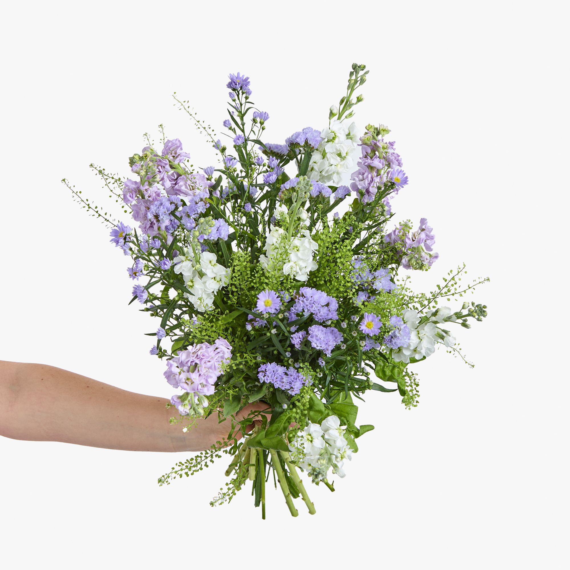 Asters, stocks, statice and greenbell