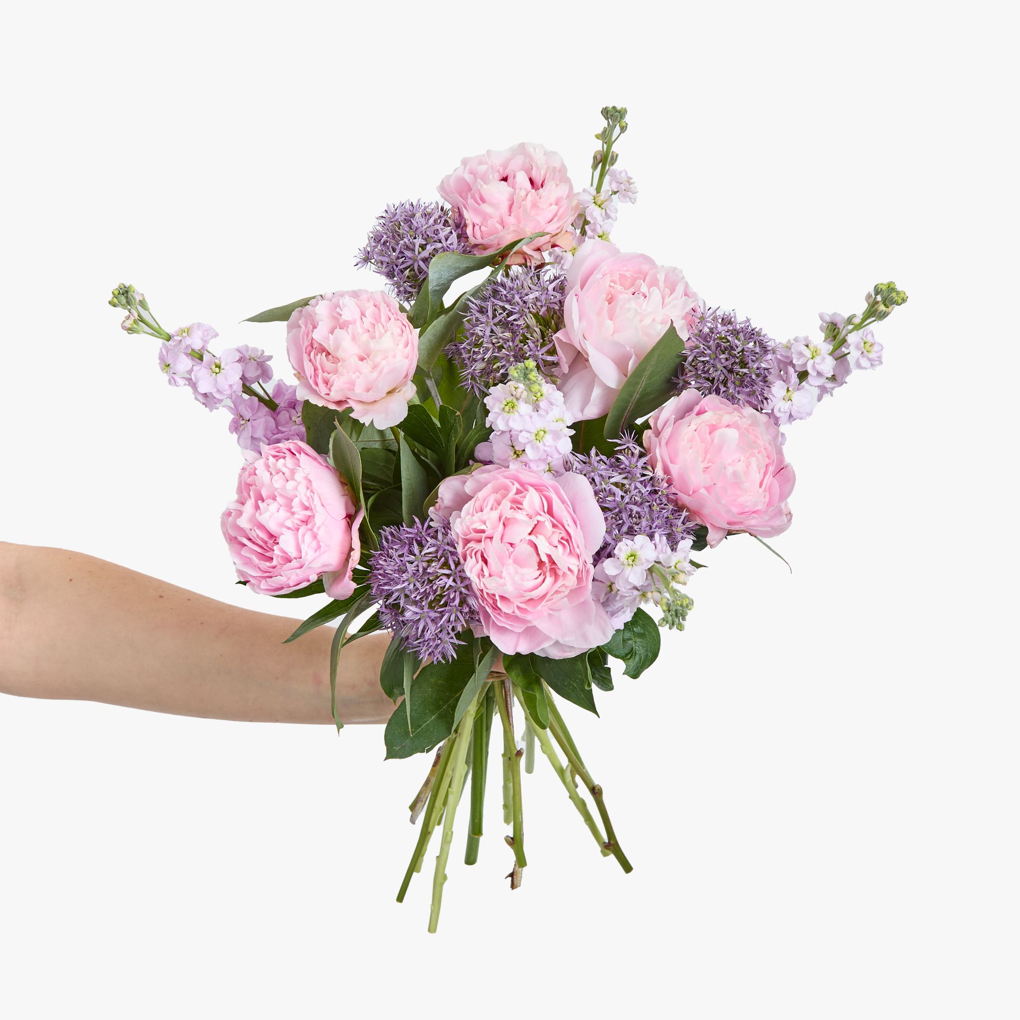 Alliums, peonies, stocks and eucalyptus robusta
