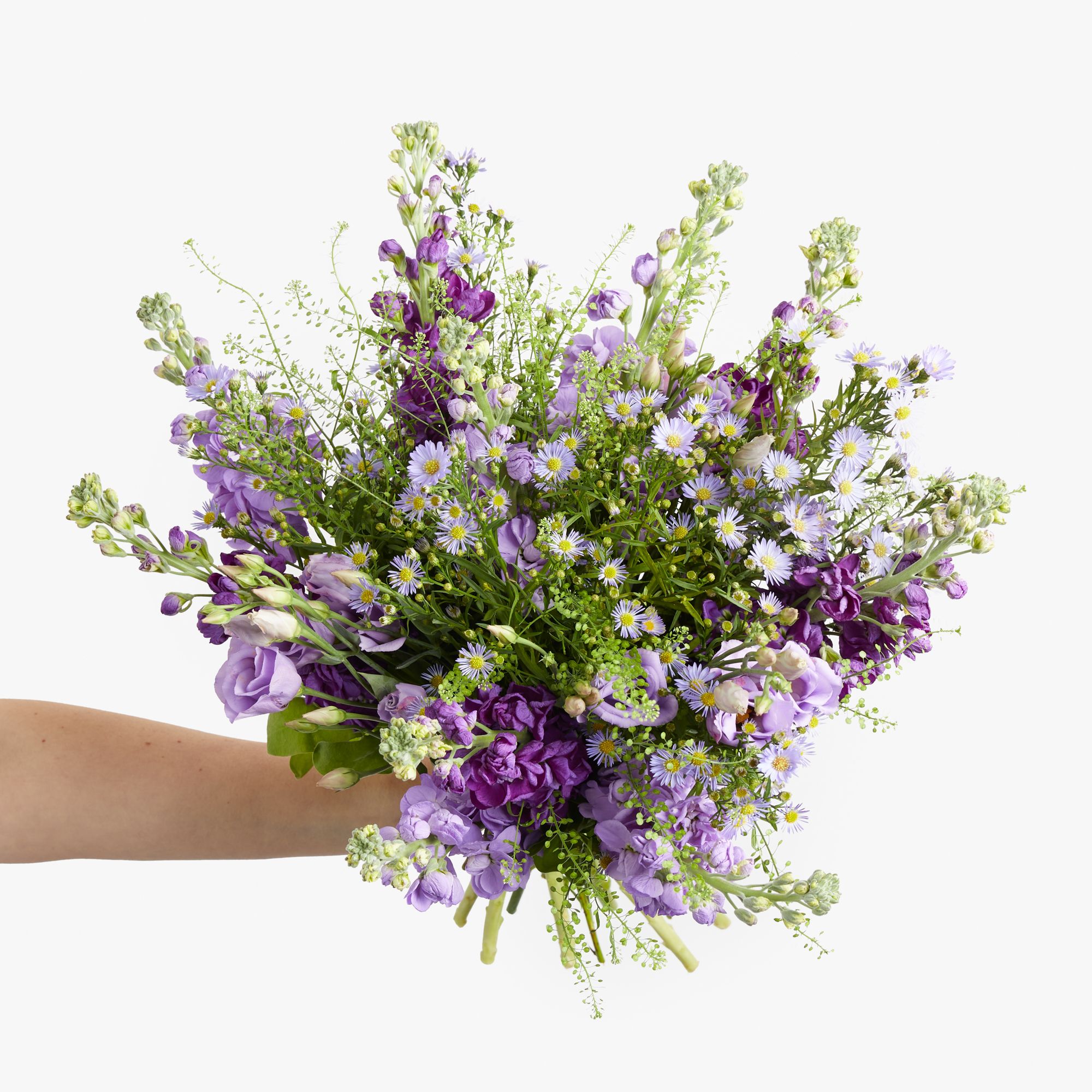 Purple and lilac stocks, lilac asters, lilac lisianthus and greenbell