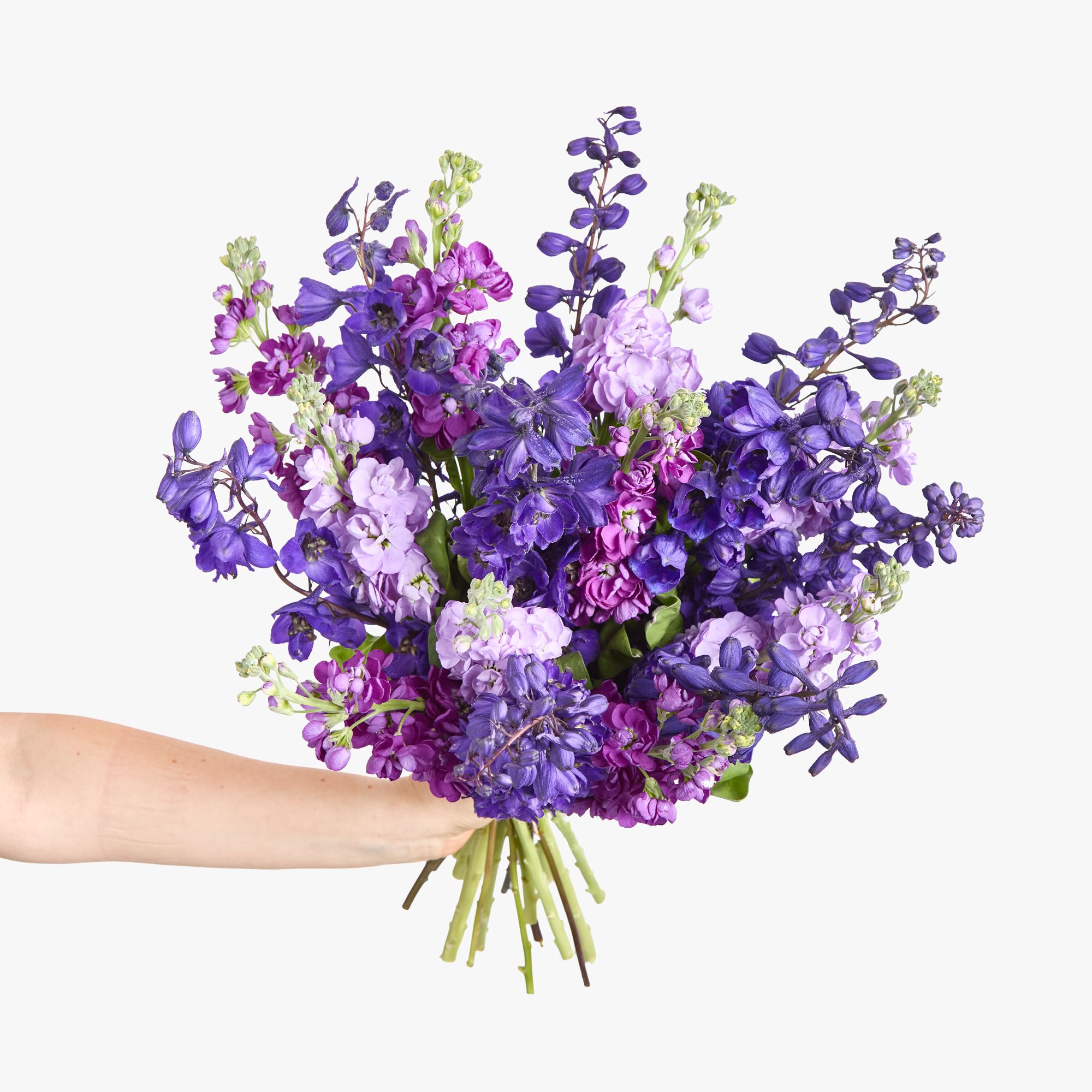 Delphiniums and stocks in lilac and lavender colours