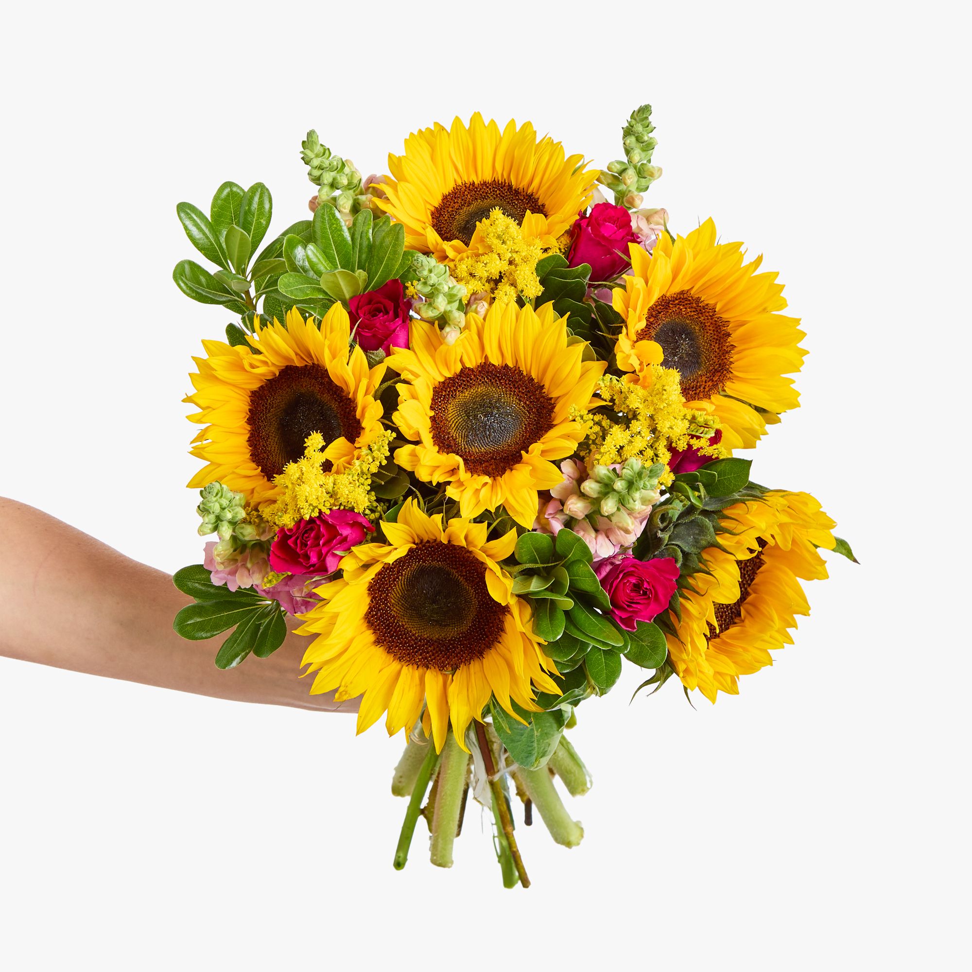 Sunflowers, solidago, cerise roses, pink antirrhinum and pittosporum