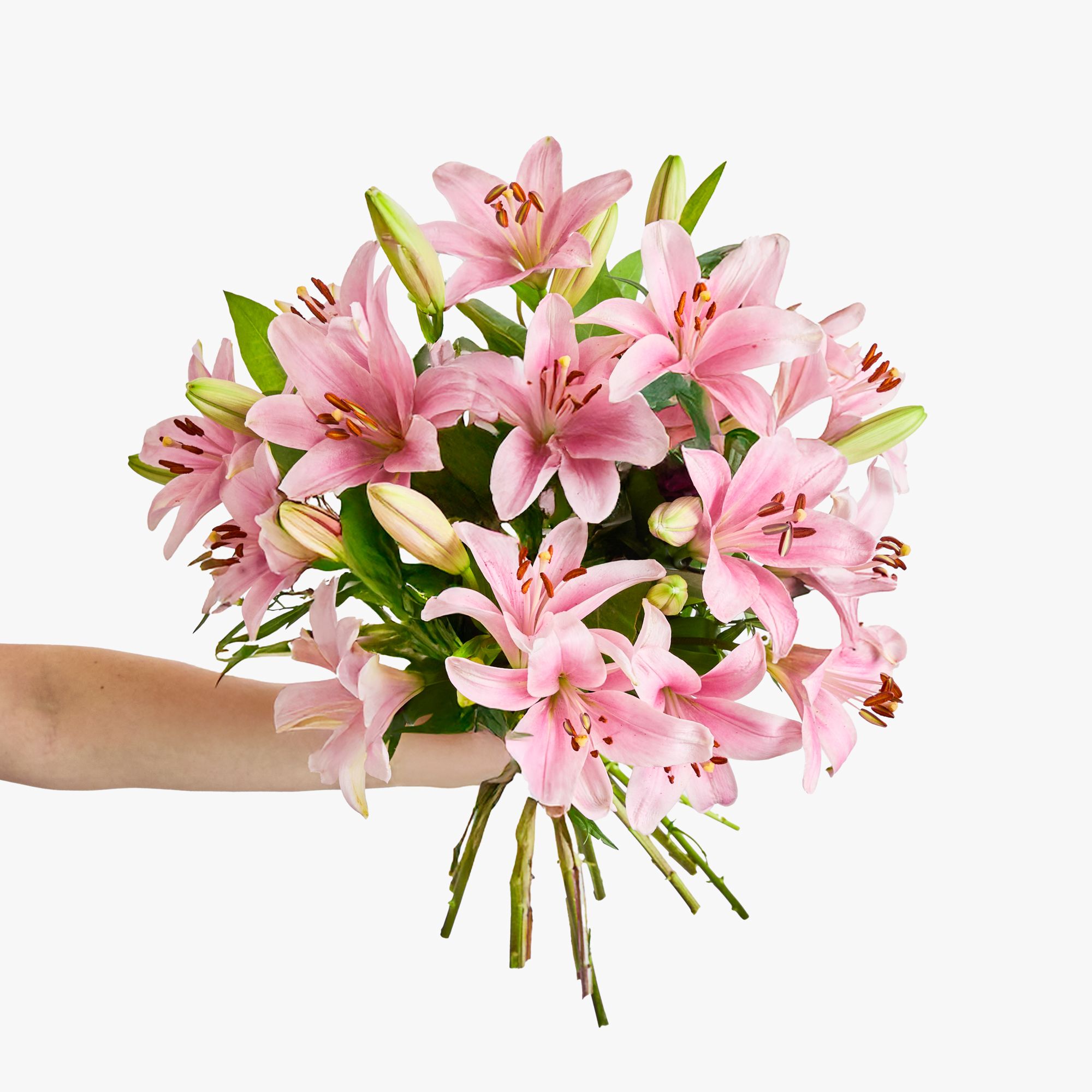 Pink 'LA' lilies