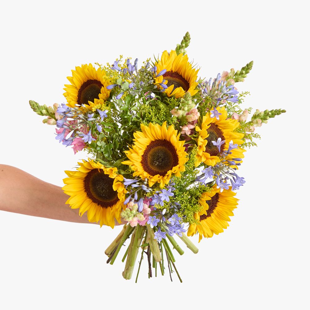  British sunflowers, British agapanthus, British solidago, pink antirrhinum, mini pittosporum