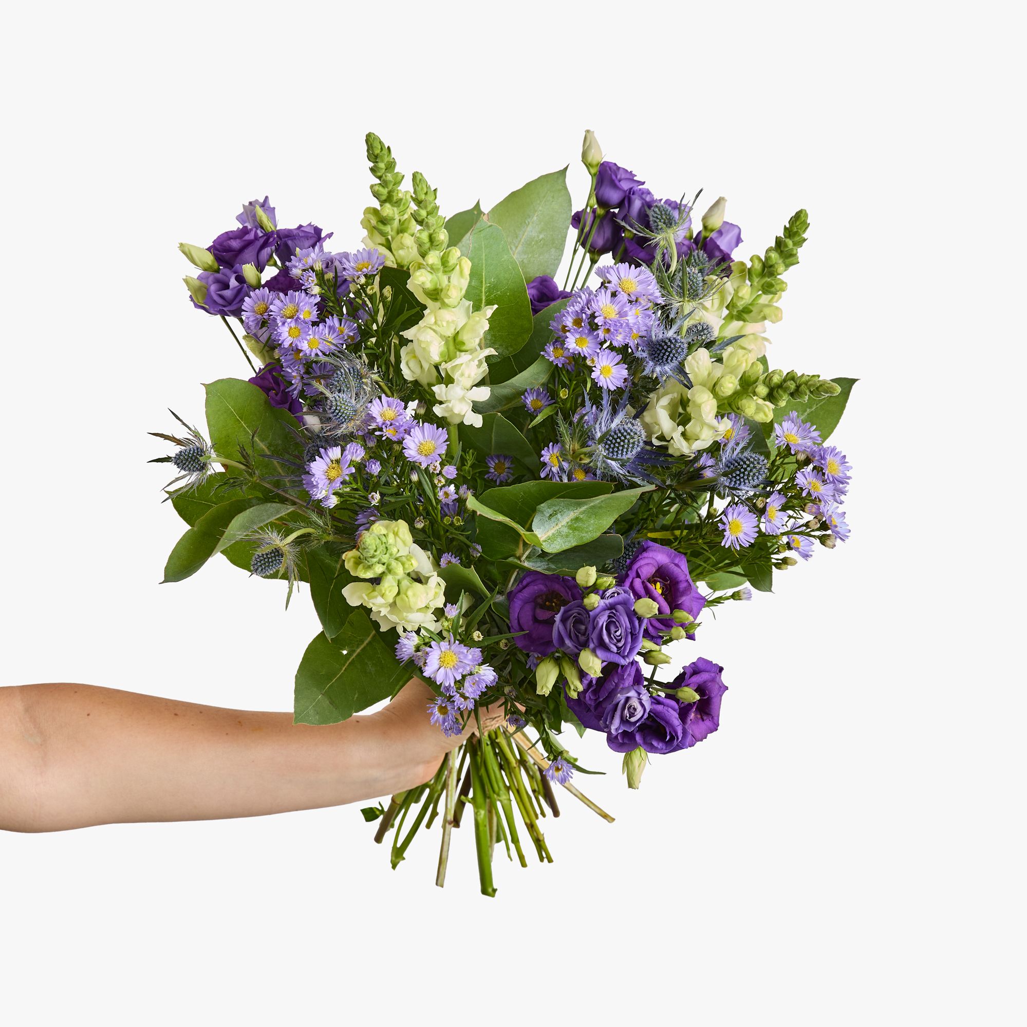 Eryngium, antirrhinum, lisianthus, asters and eucalyptus robusta