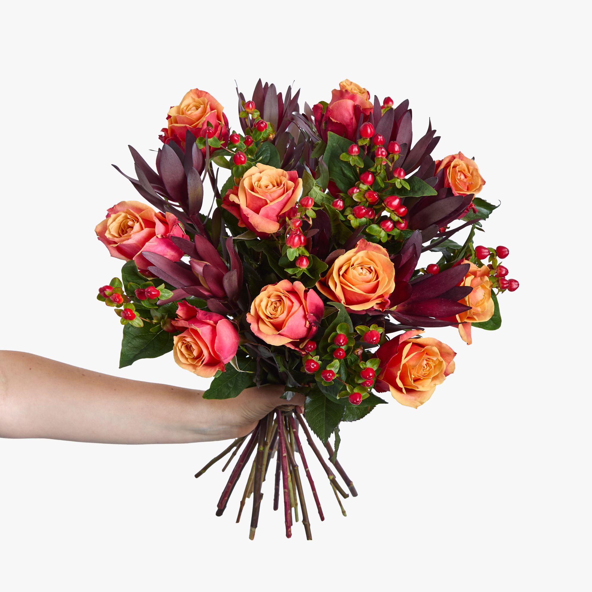 'Cherry Brandy' roses, leucodendron and red hypericum