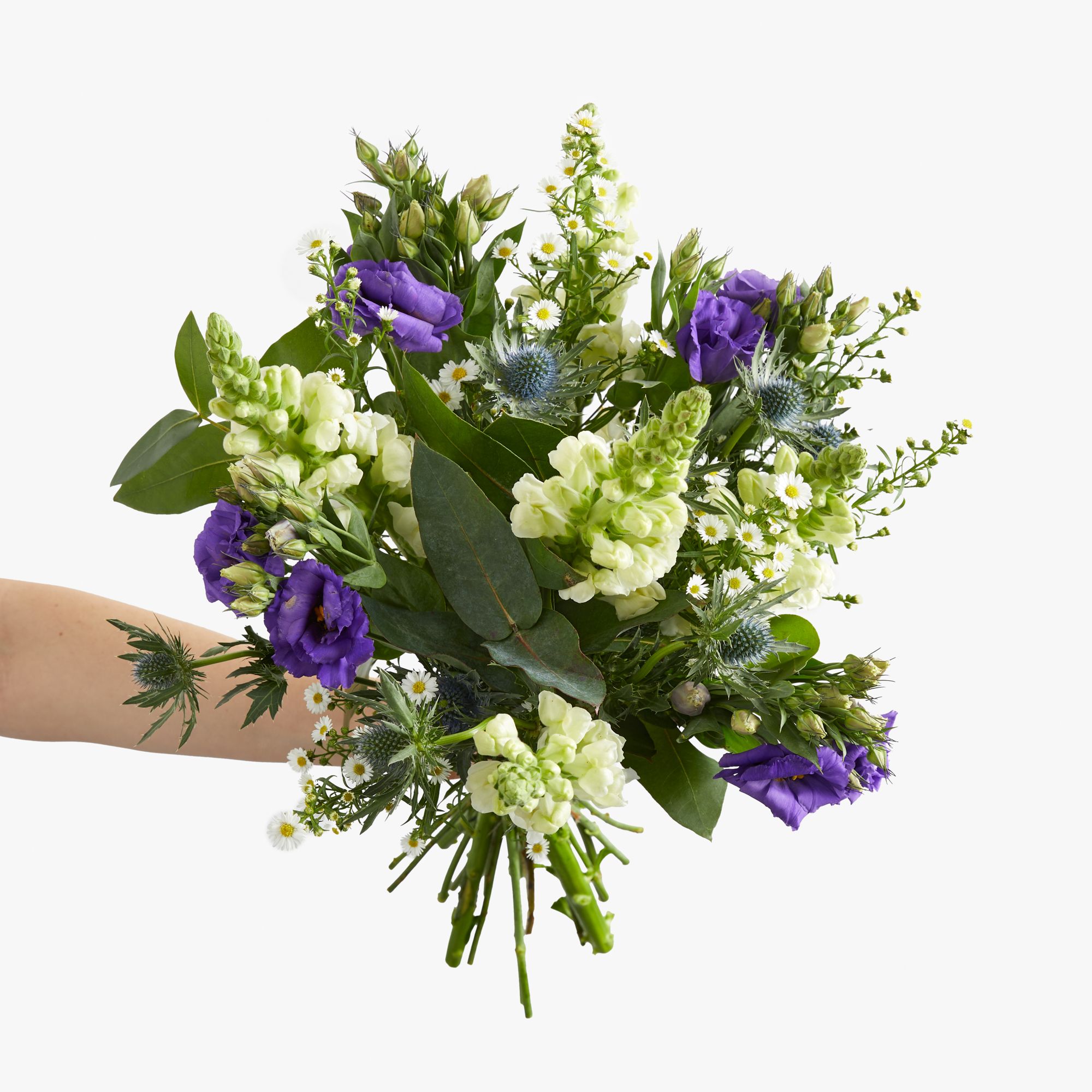 Eryngium, antirrhinum, lisianthus, asters and eucalyptus robusta