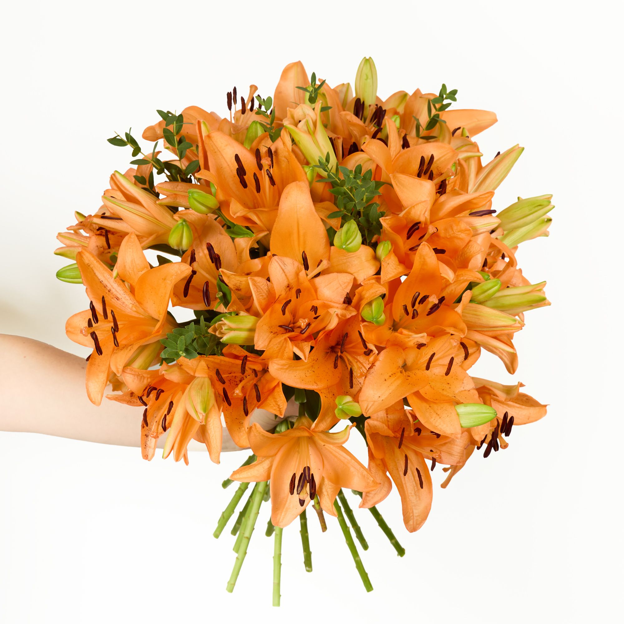 Orange, British-grown 'LA' lilies with eucalyptus parvifolia