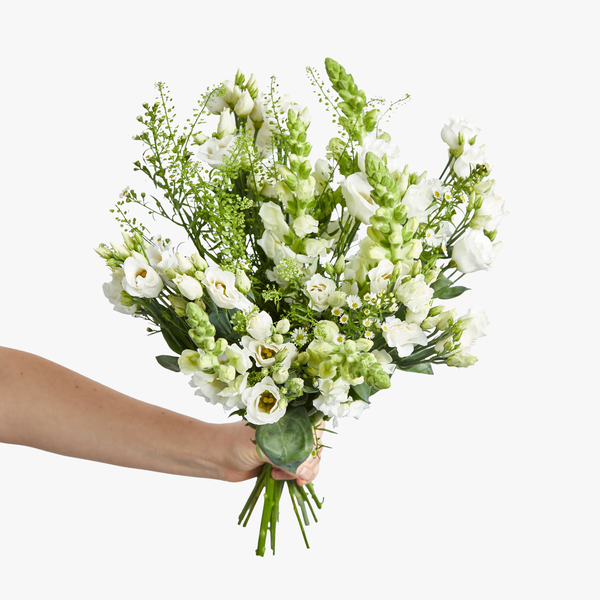 White lisianthus, antirrhinum, asters and greenbell