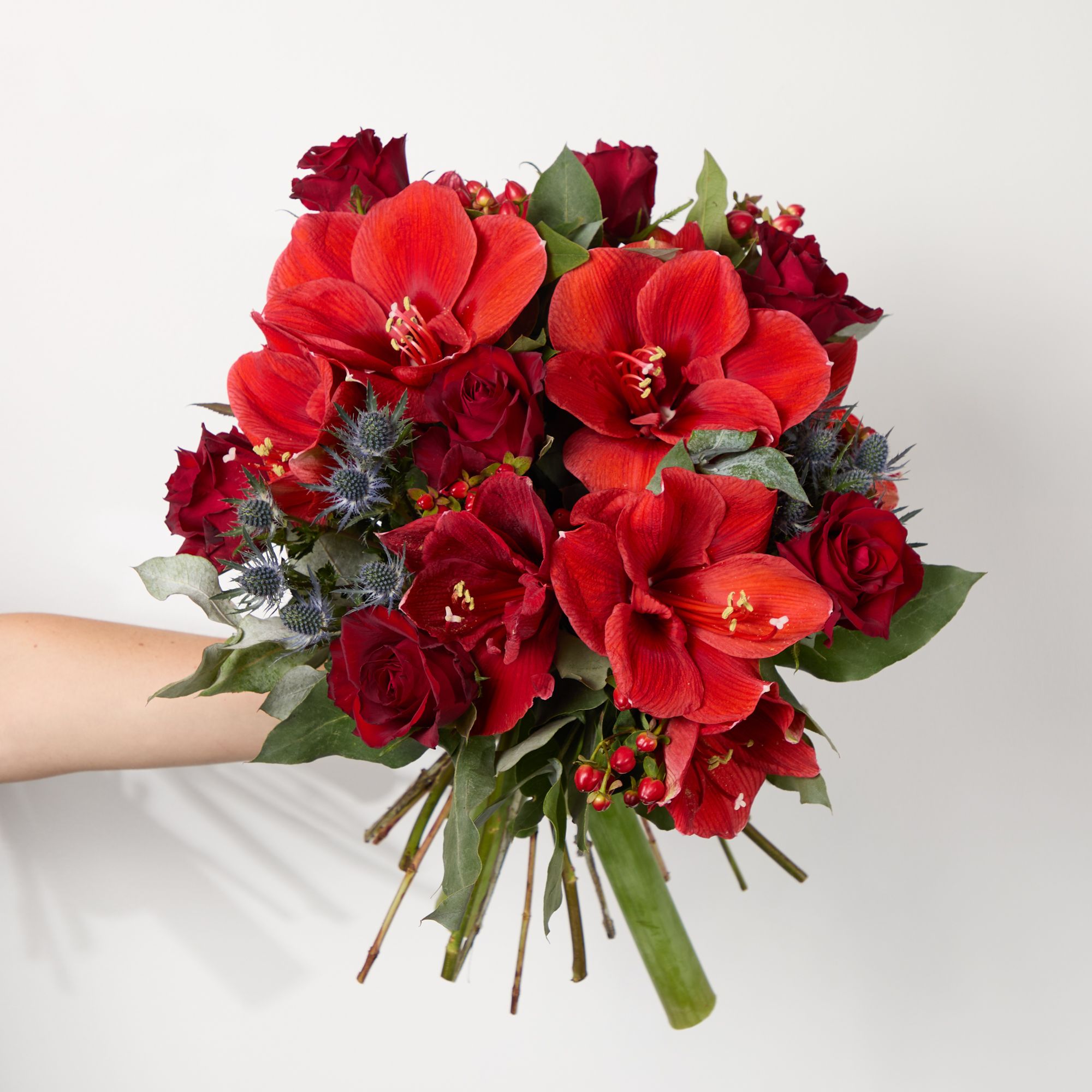  Red amaryllis, red roses, red hypericum, blue eryngium and eucalyptus robusta