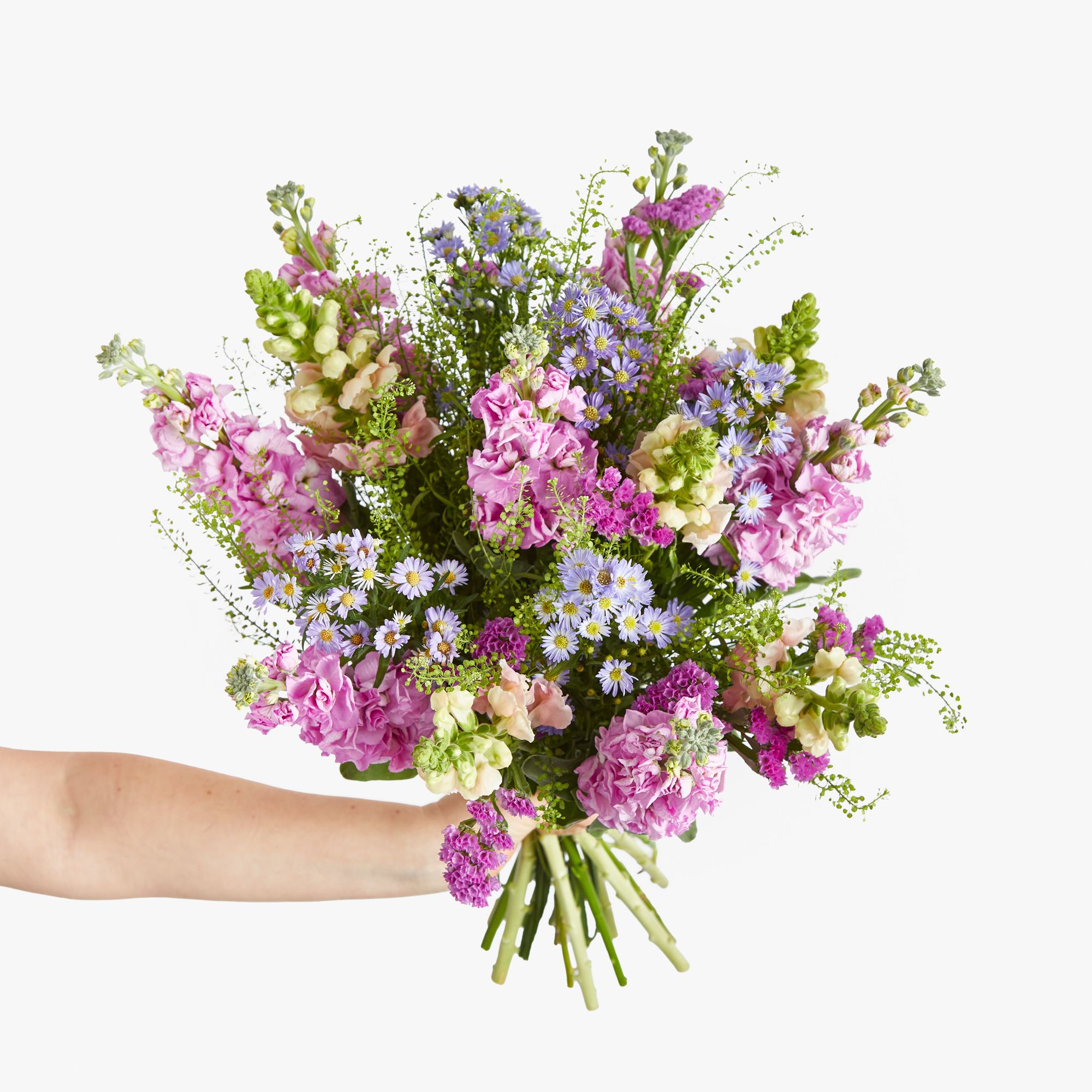 Asters, antirrhinum, stocks, statice and greenbell