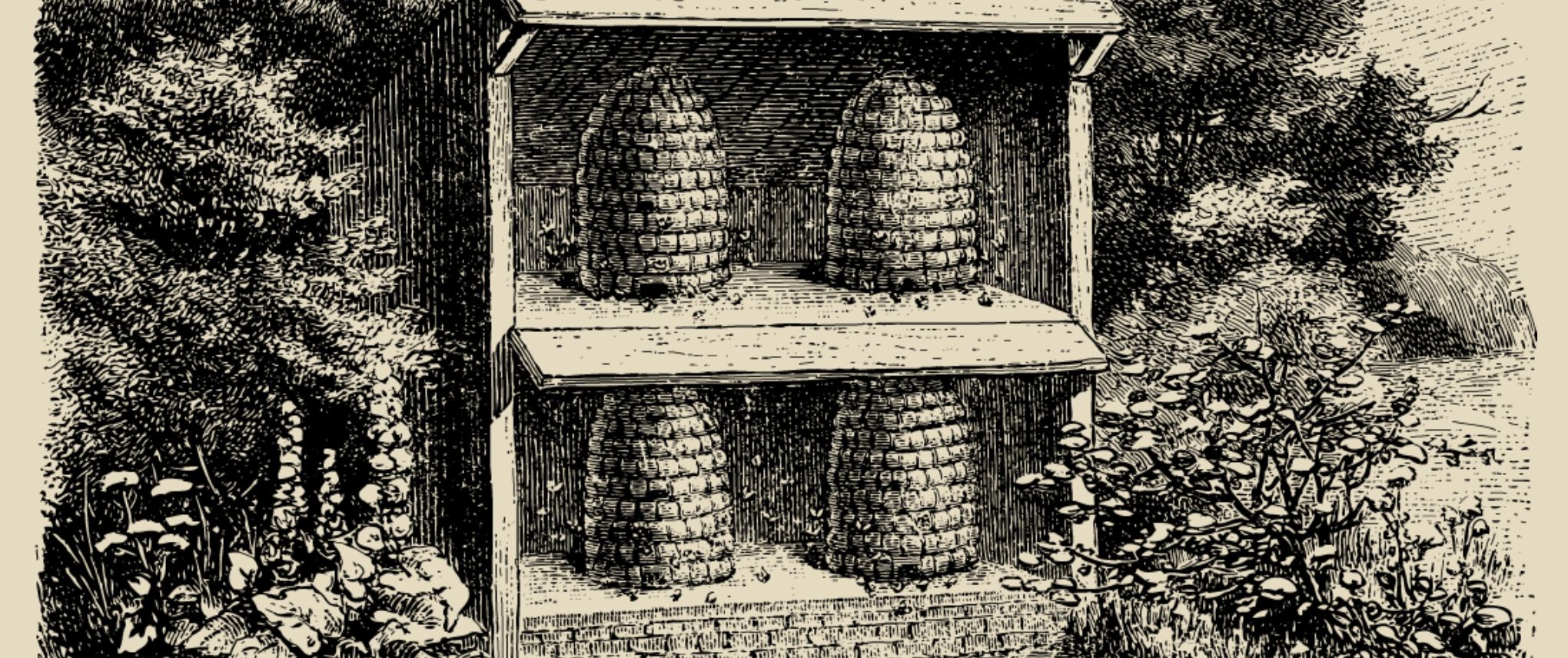 beekeeping-3.jpg