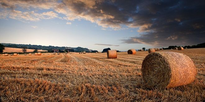 Often described as a ‘green and pleasant land’, England has some of the world’s finest landscapes and most beautiful cities. From the wilds of the Lake District to the elegant Georgian townhouses of Bath, and from the picturesque beaches of the West Country to the bustling energy of London, England has something to offer everyone.