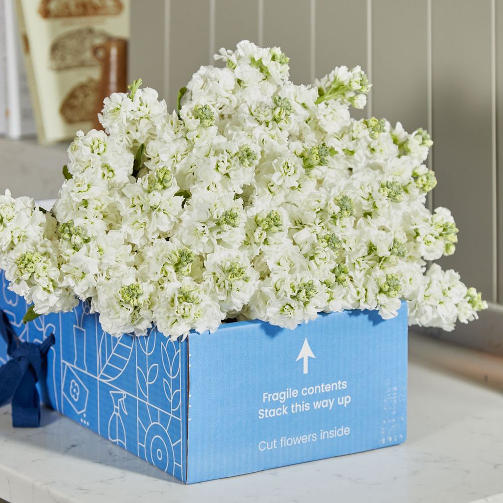 Flower Subscriptions