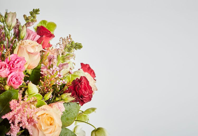 Arena Flowers The UK's most ethical florist