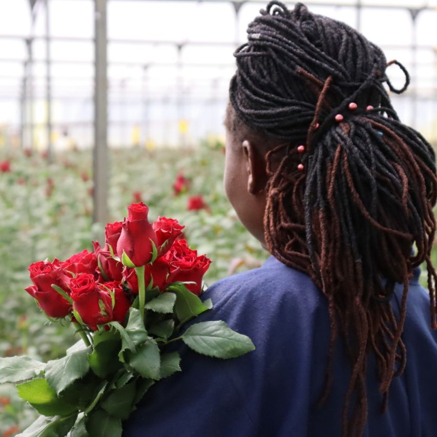 roses-over-shoulder.jpg