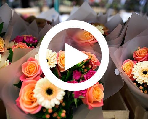 Fresh Cut Flowers Send Flowers Online GIF - Fresh Cut Flowers Send Flowers  Online - Discover & Share GIFs